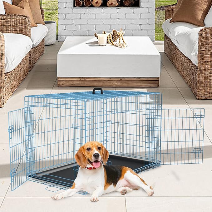 FDW Dog Crate for Medium Dogs 36 Inch Folding Metal WirePet Cage Double Door W/Divider Panel Indoor Outdoor Kennel Leak-Proof Plastic Tray,Blue