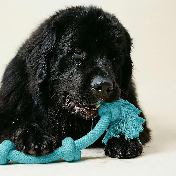 Playology Dog Toys | Dri-Tech Rope Tug of War Dog Toy for Tough Chewers | Peanut Butter Scented Mega Size Tug Rope Toys for Extra Large Dogs
