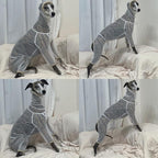 D Doggy Star Italian Greyhound Clothes Sheer Mesh Onesie Summer Jumpsuit Breathable Full Body Protection for Outdoor Walks Small Whippet Fit (2XL,Sheer Mesh White)