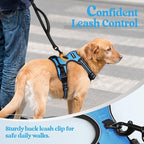 rabbitgoo Dog Harness, No Pull for Large Dogs with 2 Leash Clips, Pet Vest | No Choke with Handle, Adjustable Soft Padded, Reflective, Easy Control for Walking, Blue, X-Large
