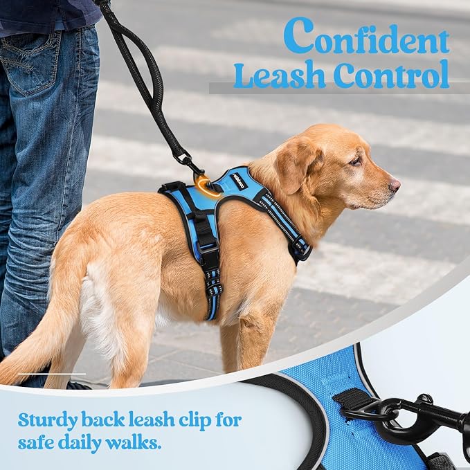 rabbitgoo Dog Harness, No Pull for Small Dogs with 2 Leash Clips, Pet Vest | No Choke with Handle, Adjustable Soft Padded, Reflective, Easy Control for Walking, Blue, Small