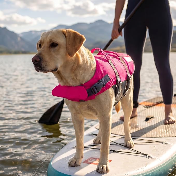 Outward Hound Granby Splash Pink Dog Life Jacket, Large