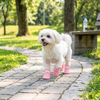 Mesh Dog Shoes Breathable Lightweight Wearproof Slip Resistant Cute Fashion Puppy Boots for Summer, Soft Mesh Rubber Sole for Hot Pavement Protection Indoor Floor