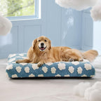 LE SURE Cute XL Dog Bed-Extra Large Thick Shredded Chopped Foam Pet Bed Indoor with Removable Washable Cover, Modern Fuzzy Plush & Anti Slip Bottom, Blue | Shredded Chopped Foam,Modern Plush Crate Cushion Gift for Extra Large Dog, Waterproof Washable C...