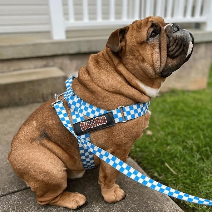 BULLHUG Adjustable Dog Harness– No Pull, No Choke – for English Bulldogs, French Bulldogs, Pugs & Broad-Chested Breeds – Easy, Safe Walks (Blue Checkers, Large)