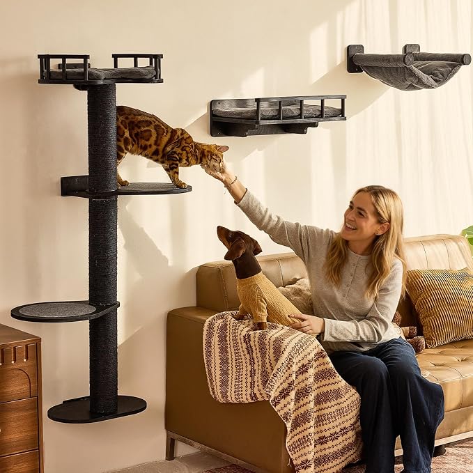 FUKUMARU Cat Wall Shelves, 4 in 1 Set, Black | Stable Wooden Wall-Mounted Furniture Set, Climbing Tree with Hammock, Bed, Perch and Scratching Mat