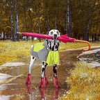 IECOii Large Dog Raincoat Waterproof,Hooded Rain Jacket Keep Dog Dry in Wet Weather,Reflective Rain Poncho Clothes with Convenient Leash Hole/Adjustable Magic Sticker/Easy On and Off/,Green,Large