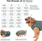 BellyGuard Dog Surgery Recovery Suit, Post-Op Dog Recovery Suit for Female Spay & Male Neuter, Comfy Onesie for Pets, Surgical Body Cover for Canine Healing Support