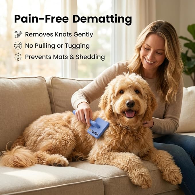 Slicker Brush for Dogs, Pet Grooming Brushes for Doodles & Poodles, Large | Best Brush For Long Haired Dogs, Dematting Comb & Deshedding Tools For Goldendoodle Coats, Puppy Matting Grooming Supplies
