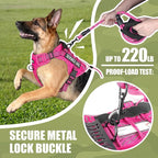Service Dog Tactical Vest Harness and Leash Set Large Sized Dog Emotional Support- Tactical Dog Harness Training Collar with Name (Rose Red, XL)