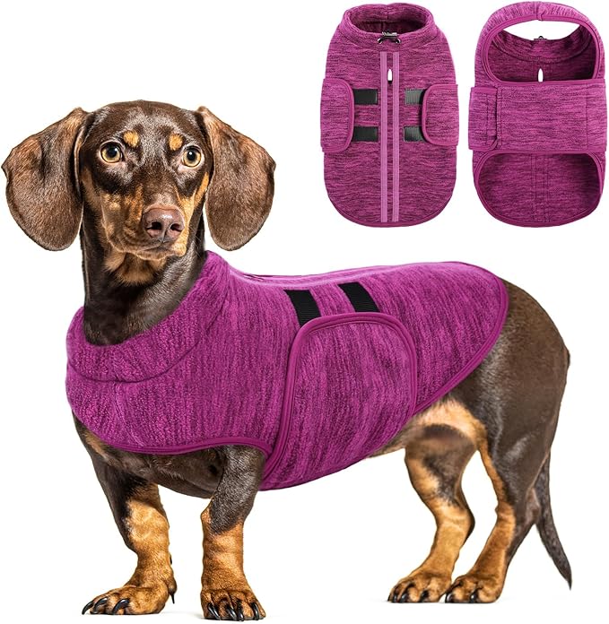 Queenmore Small Dog Sweaters, Soft Fleece Vest Pullover Dog Jacket with Leash Hole, Warm Winter Dogs Clothes Cold Weather Doggy Dachshund Sweater for Small Dogs Cats Boy or Girl (Cationic Berry, XS)