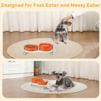 Elevated Slow Feeder Dog Bowls with Splash Proof Stand, Slow Eating 5X | 6.5″ Dog Slow Feeding Bowls & 6.1″ Dog Food Dish, Non-Slip Raised Food and Water Bowl Set for Small and Medium Breeds, Orange