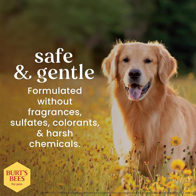 Burt's Bees for Pets Oatmeal Dog Shampoo with Honey, Soothing Formula for Itchy and Sensitive Dog Skin, Colloidal Oat Flour and Honey, pH Balanced, Sulfate-Free, 16 Fl Oz - 2 Pack