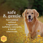 Burt's Bees for Pets Honey Multipurpose Dog Grooming Wipes, Gentle Hypoallergenic Spot Cleaning Sheets, pH Balanced Natural Origin Formula for Paws, Face and Butt, 50 Count - 6 Pack