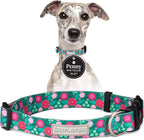 Lucky Love Dog - Adjustable Dog Collar with Easy Click Buckle for Medium Dogs, Durable, & Comfortable for Male & Female Dogs, Pet Collar for Puppies & Adult Ones - Penny, Medium
