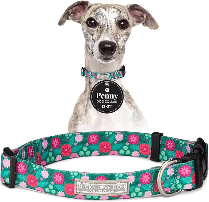 Lucky Love Dog - Adjustable Dog Collar with Easy Click Buckle for Medium Dogs, Durable, & Comfortable for Male & Female Dogs, Pet Collar for Puppies & Adult Ones - Penny, Medium
