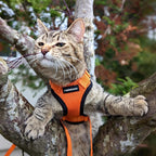rabbitgoo Cat Harness and Leash Set, Escape Proof Vest, Orange | Soft Breathable Mesh, Easy Adjustable Fit, Snap Buckles, Sturdy Clip, Reflective Strips, for Medium to Large Cats Walks, M