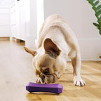Playology Dog Toys | Squeaky Chew Stick for Dogs, Value 2-Pack | Bacon Scented Medium Fetch Toy | Squeaky Dog Chew Toys