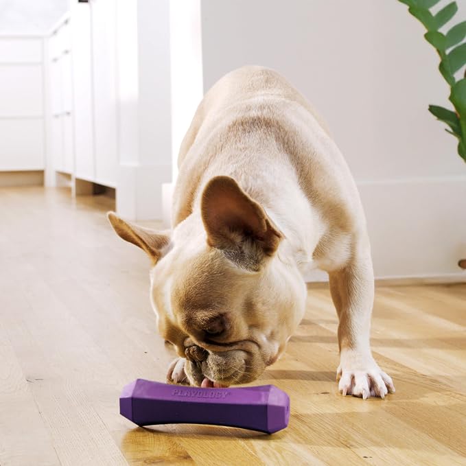 Playology Dog Toys | Squeaky Chew Stick for Dogs, Value 2-Pack | Bacon Scented Medium Fetch Toy | Squeaky Dog Chew Toys