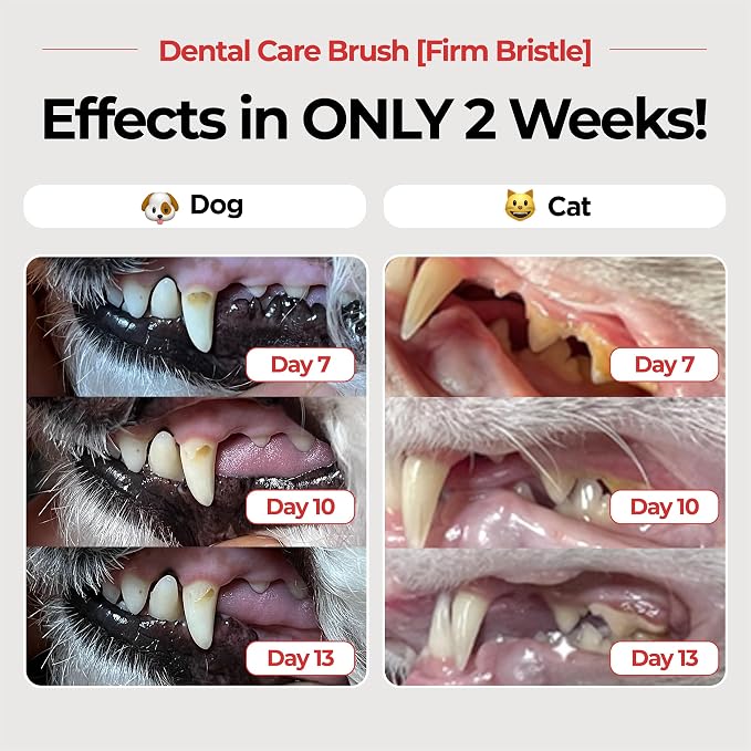 JAYU PET Dental Care Brush (Firm Bristles) 3ea - Resilient Dog Toothbrush, Cat Toothbrush for Tartar & Plaque Removal, Horizontal Head and S-Curved Body