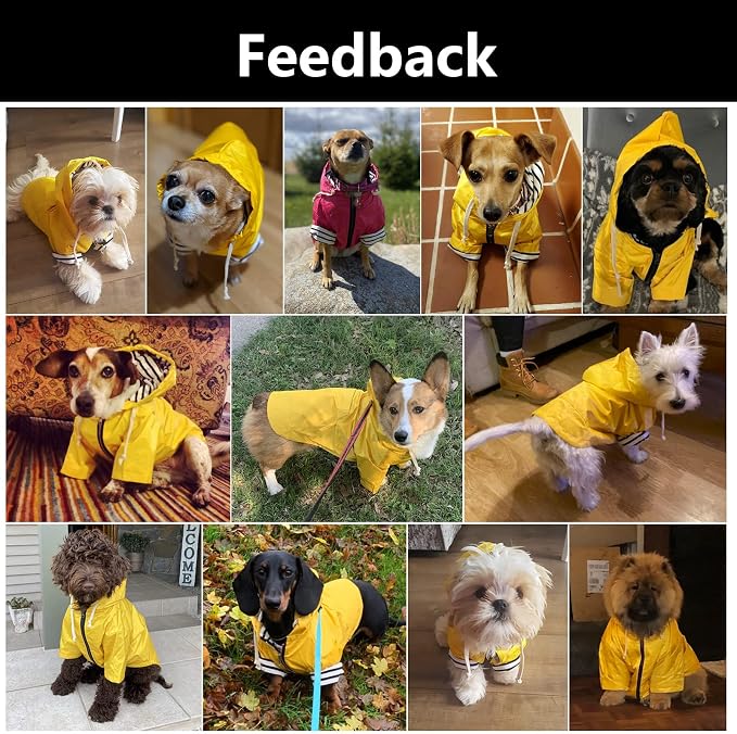Dog Raincoat rain Jacket Raincoat Dogs Waterproof Small Medium Breeds Zip Closure Storage Pocket Harness Hole Blue S