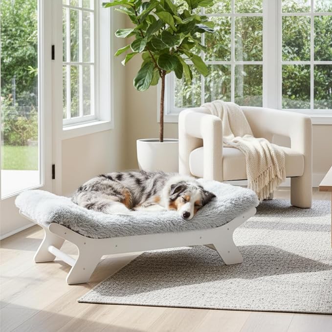 Muihood Elevated Wooden Dog Bed with Foam Mattress, White, X-Large | Raised Dog Bed with Washable Cover, Supportive Foam Mattress, Perfect for X-Large Dogs and Indoor Living