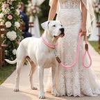 Mile High Life Dog Leash Braided Cotton Rope with Leather-Reinforced Ends | Rust-proof 360° swivel clasp, Heavy-duty for medium/large breeds. Great for weddings, daily walks (5 FT, 1/2", Pink)