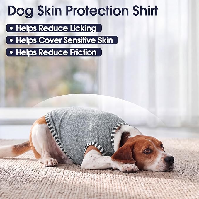 IECOii 2 Pack Dog Surgery Recovery Shirt Sleeveless Lightweight Dog Tshirt | T-Shirts with Stretch Fit,Gentle on Sensitive Skin,Anti-licking for Hot Spots,Shedding Control Tee,For Small to Giant Dogs