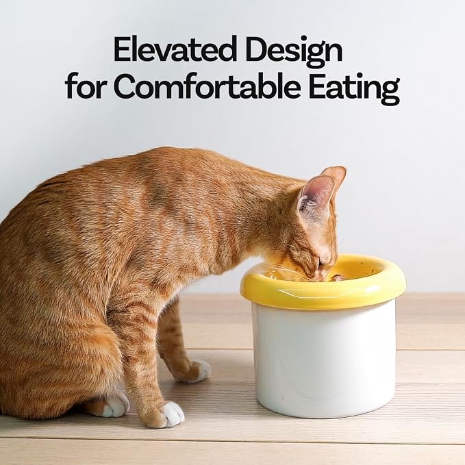 Donut Bowl Elevated Ceramic Cat Bowl with Stand, Raised Whisker-Friendly Bowl for Cats & Small Dogs, Patented Donut Design, Made in Korea (3.9" H -Pink)