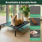 PJYuCien Raised Dog Bed with Pad, 48'' Gray
