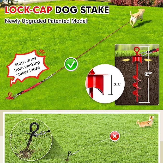 Snagle Paw Dog Tie Out Cable and Stake with Lock-Cap,Heavy Duty 30FT Dog Yard Leash & Stake with Shock Absorbing Bungee Tether,Rust Proof Ground Anchor for Yard, Beach, Camping & Outdoor,up to 360 Lbs