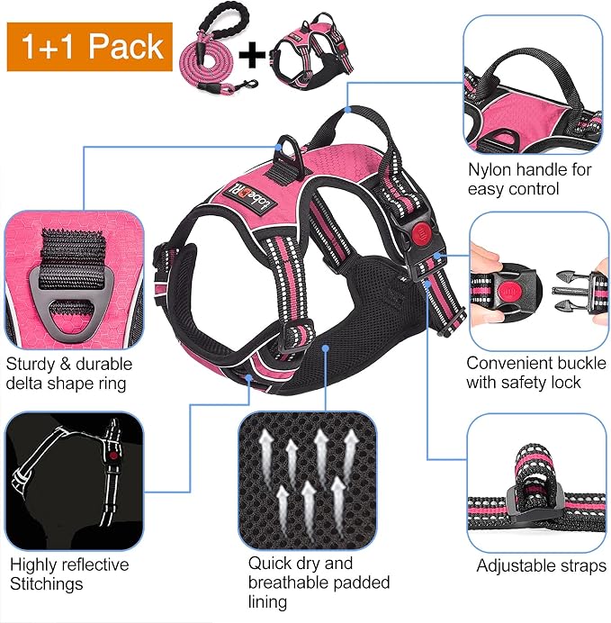 tobeDRI No Pull Dog Harness Adjustable Reflective Oxford Easy Control Medium Large Dog Harness with A Free Heavy Duty 5ft Dog Leash, Pink, XL