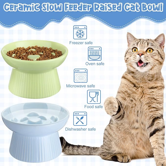 Tioncy 2 Pcs Ceramic Elevated Slow Feeder Cat Bowl, Raised Cat Slow Feeder Bowl, Anti Vomiting for Dry and Wet Food, No Spill High Edge Easy Clean Dishwasher Safe (Green,Blue)
