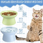 Tioncy 2 Pcs Ceramic Elevated Slow Feeder Cat Bowl, Raised Cat Slow Feeder Bowl, Anti Vomiting for Dry and Wet Food, No Spill High Edge Easy Clean Dishwasher Safe (Green,Blue)