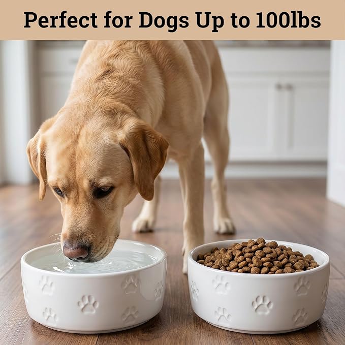Ceramic Dog Bowl Set of 2 with Anti-Skid Base 7.5" W x 3" H, 6 Cup Capacity | Thick Ceramic, Dishwasher Safe, Anti-Skid Rubber Base, 6 Cups per Bowl, Ceramic Food & Water Bowls Set of 2 for Large Dogs