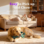 Frienhund 2-Pack Indestructible Dog Chew Toys for Aggressive Chewers | Textured Cactus with Grooves for Peanut Butter & Yogurt, Beef Nylon Bones for Large Dogs 20-90 lbs, Easy Chew & Long Lasting