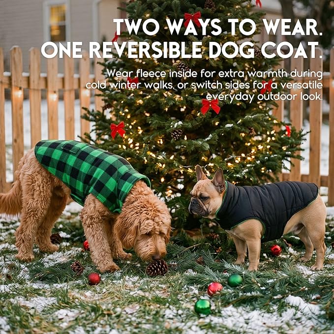ASENKU Reversible Dog Winter Coat, Dog Jacket for Small Medium Large Dogs | Windproof Plaid Fleece Lining for Cold Weather, Water-resistant Outer Shell, Puppy Puffer Vest with Leash Hole, Green XS