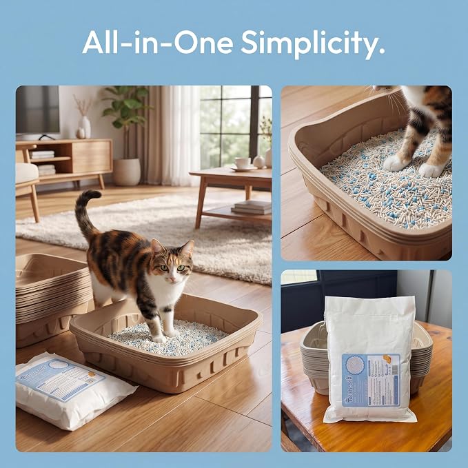 Disposable Cat Litter Box Kit Large, 6 Pack with Tofu Litter | 95% Bamboo Fiber, Ready-to-Use Solution, Odor Control, No Liners, No Scrubbing, Leak-Resistant, Travel & Multi-Cat Households