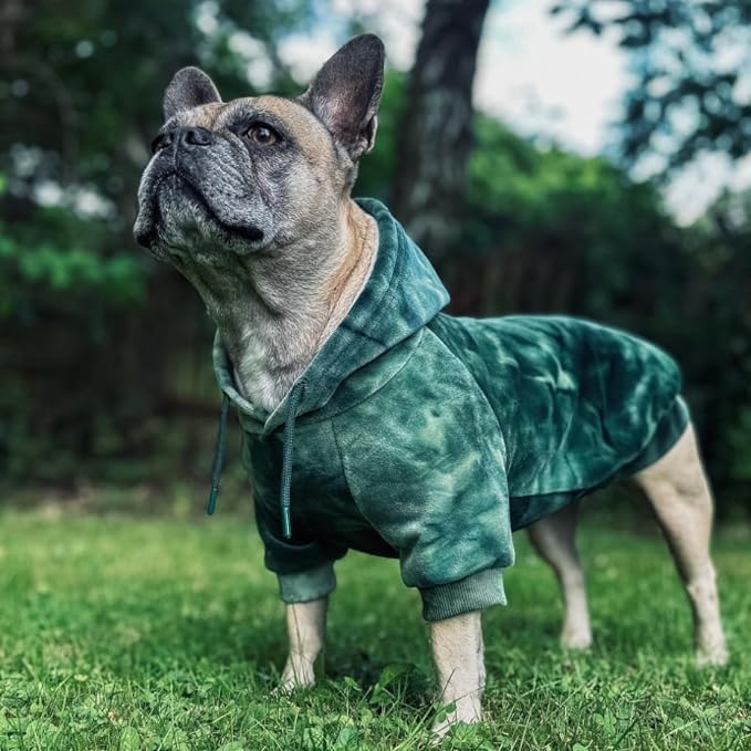 Spark Paws Dog Hoodie – Premium Dog Sweater for Small, Medium, and Large Dogs | Warm Outfits for French Bulldogs, Pitbull, Puppy, Winter Jacket Alternative - Green Skydye, XL