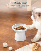vancasso Elevated Cat Food Bowls 2-Pack, 6.2" Wide Shallow Cat Feeding Bowl for Whisker Fatigue, 5.1" Height Ceramic Raised Food Bowls for Senior Cats, Anti Vomit, White