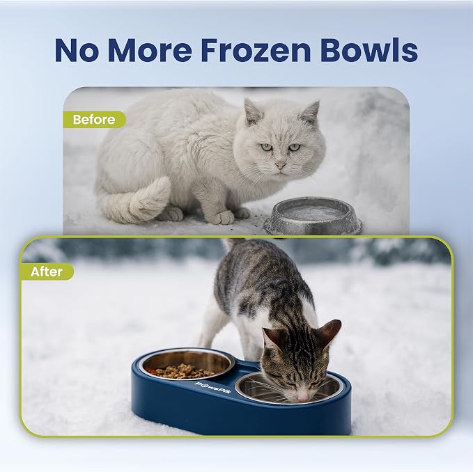 Heated Water Bowl for Cats, Outdoor Heated Pet Bowl in Winter | 18/8 Stainless Steel, Anti-chew Cord, Removable Bowls, Dual-bowl Heated System, Raised Ergonomic Stand, Blue, 3 Cups
