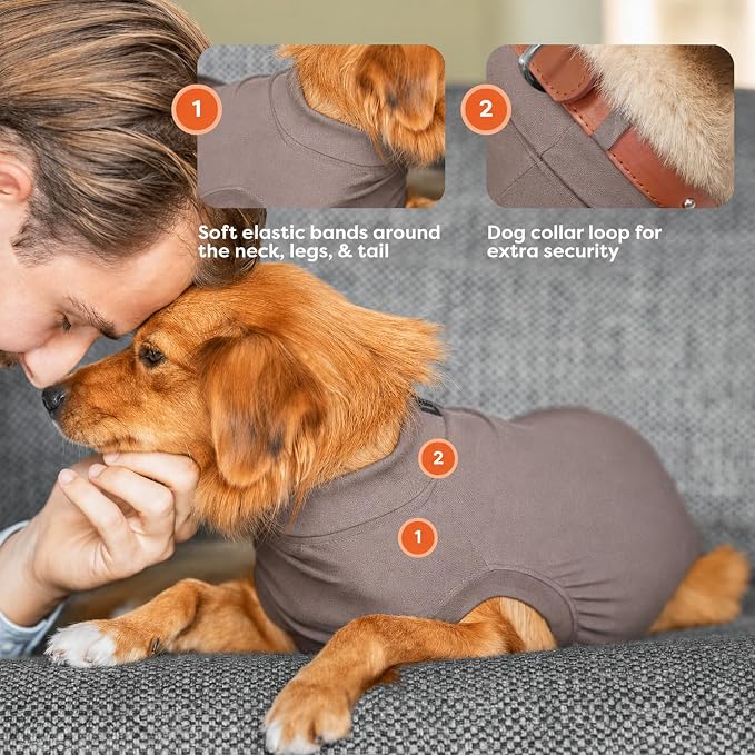 Suitical - The Original Dog Surgery Recovery Suit - Replace E-Collar & Cone - Spay, Neuter, Wounds, Prevent Licking - Small+ Neck to Tail 19.3-22.4in - Chest 25-35.5in - Weight 33-42lbs Sandstone Grey