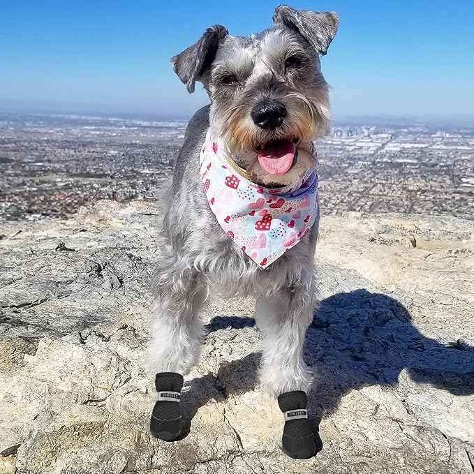 QUMY Dog Shoes for Small Dogs Hot Pavement Puppy Dog Boots & Paw Protectors | Small Medium Dog Summer Shoes, Soft Anti-Slip Rubber Sole, Mesh Breathable Dog Booties for Hardfloors, Walking Running Black