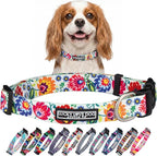 Lucky Love Dog - Adjustable Dog Collar with Easy Click Buckle for Small Dogs, Durable, & Comfortable for Male & Female Dogs, Pet Collar for Puppies & Adult Dogs - Ladybird, Small