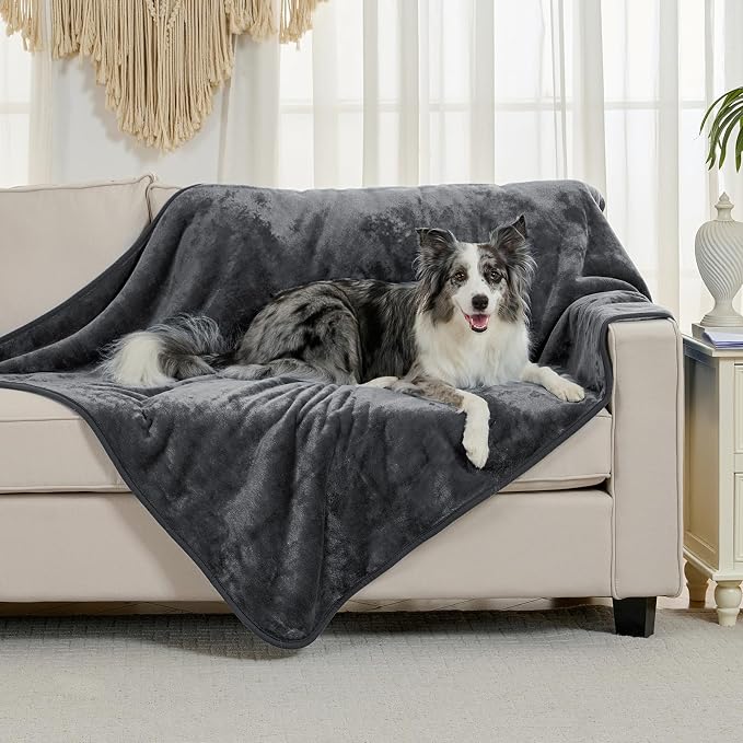 Soft Waterproof Blanket for Bed Couch Sofa, Dark Grey, 60x80 inches | Liquid Pee Proof Pet Blanket for Dog Puppy Cat, Reversible Sherpa Fleece Blanket for Couch Cover, Furniture Protector