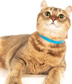 Breakaway Cat Collar - Soft, Comfortable, and Lightweight Safety Buckle Collar with ID Tag Ring for Outdoor Cats and Sensitive Skin Kittens (6 ⅞" to 10 ¼", Blue)