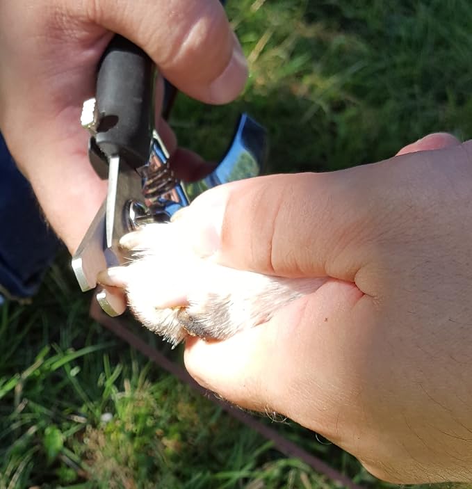 Dog Nail Clippers with SuperCut Technology