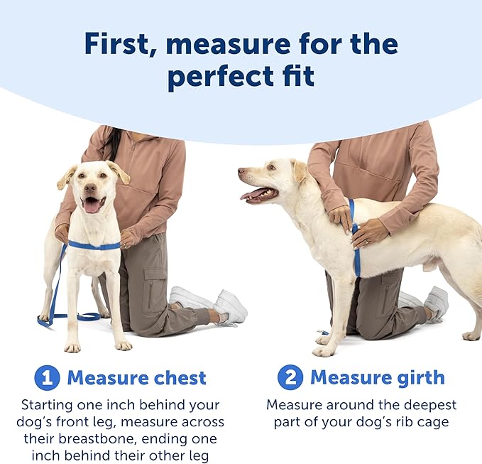 PetSafe Easy Walk No-Pull Dog Harness - Ultimate Harness to Help Stop Pulling - Pull-Free Walks - Take Control & Teach Better Leash Manners - Patented Martingale Loop Design - Fawn, Medium