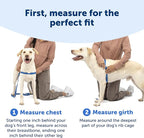 PetSafe Easy Walk Harness for Dogs - Pull-Free Walks - Patented Martingale Loop Design - Front Chest Leash Attachment - Comfort Straps - Breathable Harness Design - Small, Teal/Gray