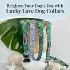 Lucky Love Dog Collar, Beautiful & Vivid Pattern Large Boy Dog Collars, Easy On & Off Clasp Accessory (Blue Laguna, L)